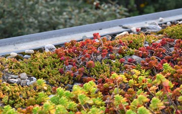 the cost of Potterne green roof installation