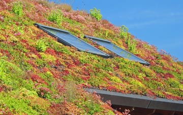 Potterne living roof systems