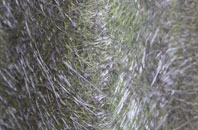 Potterne fibreglass roof work